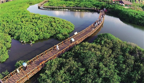 斗枪鱼的正宗做法（斗枪鱼的正宗做法图片）