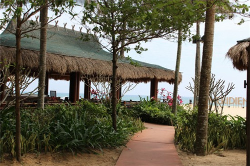 家常炒牛皮做法窍门（如何炒牛皮窍门）