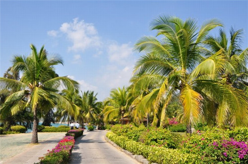 成都服装加盟店推荐（成都服装加盟品牌）